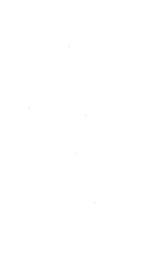 Body diagram